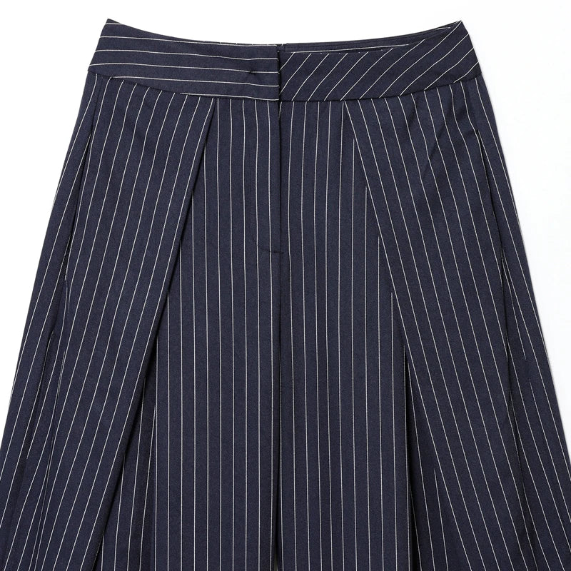 Women's High-Waisted Pleated Wide Leg Pants - Front Darts